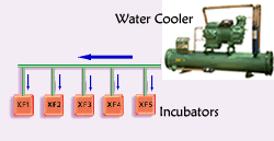 Water cooling system for chicken incubator
