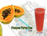 Papaya Juice Processing Line